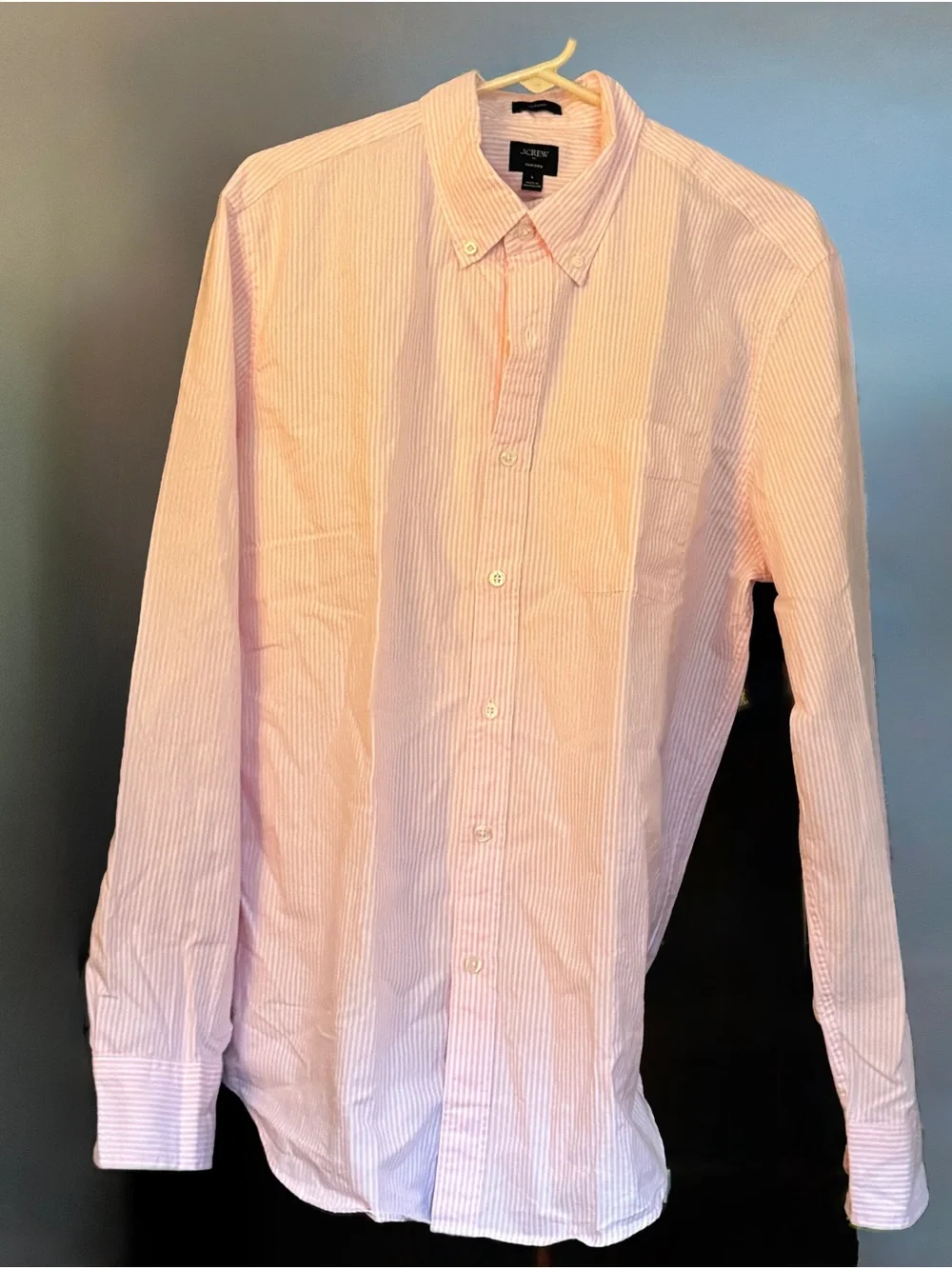 J. Crew Men's Size Medium Pink and White Narrow-Striped Oxford Button-Down Shirt